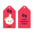 Hachette Book Group A is for Avocado Flash Cards