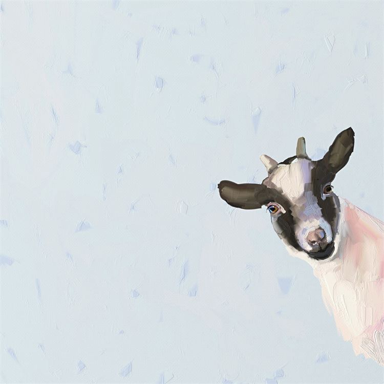 Baby Goat, Stretched Canvas Wall Art 14x14