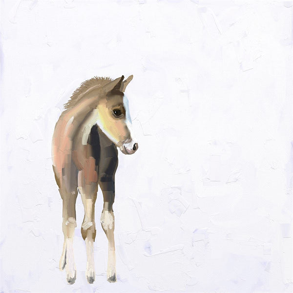 Baby Horse, Stretched Canvas Wall Art 10x10