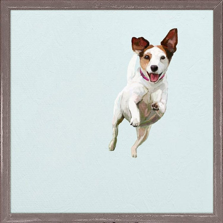 Best Friend - Jump For Joy Jack Russell, Mini Framed Canvas
