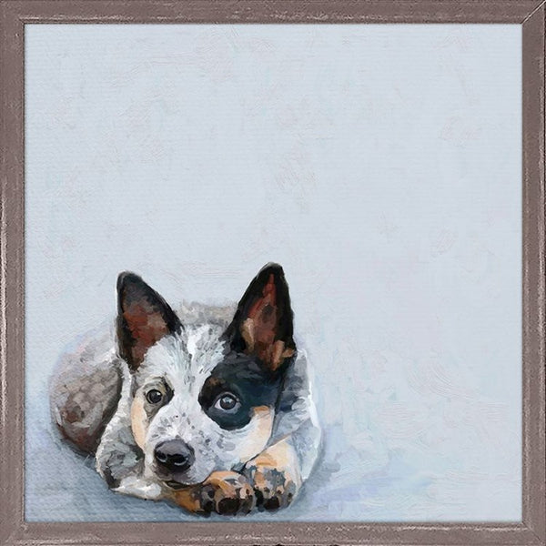 Best Friend - Sweet Blue Heeler, Mini Framed Canvas
