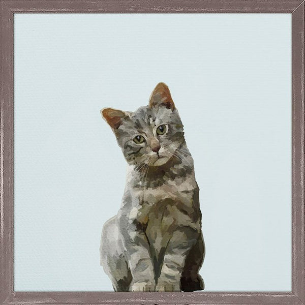 Feline Friends - Quizzical Cat, Mini Framed Canvas