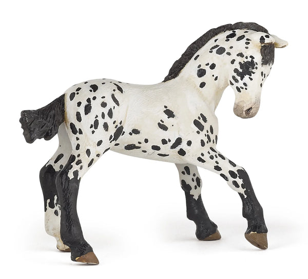 Figurine - Black Appaloosa Foal