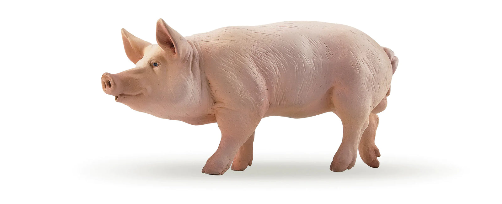 Papo Figurine - Boar