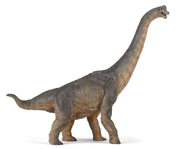 Figurine - Brachiosaurus