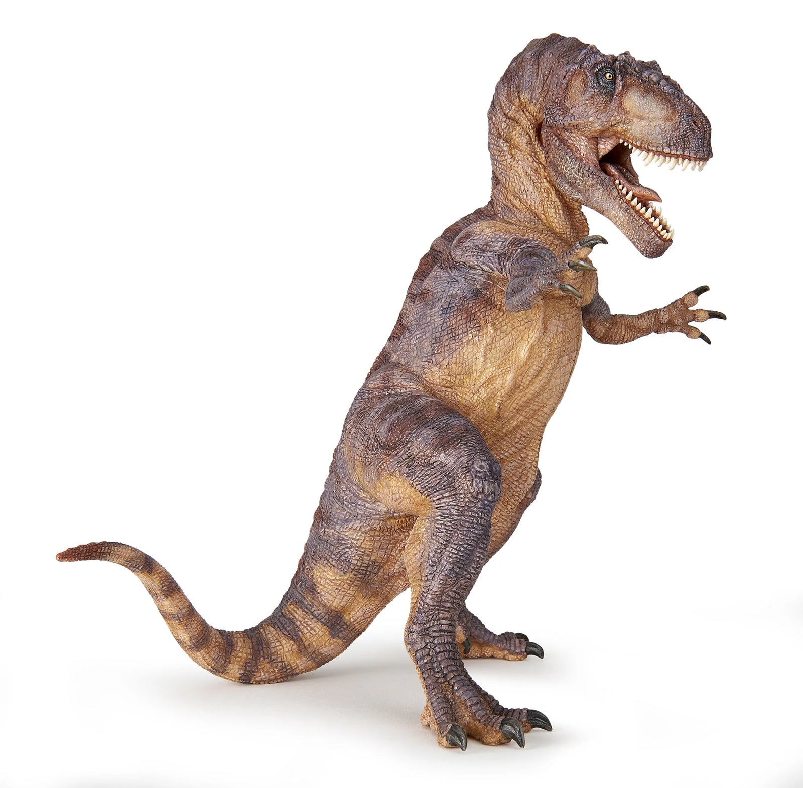 Figurine - Giganotosaurus
