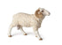 Papo Figurine - Ram