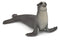 Figurine - Sea Lion