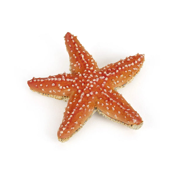 Figurine - Starfish