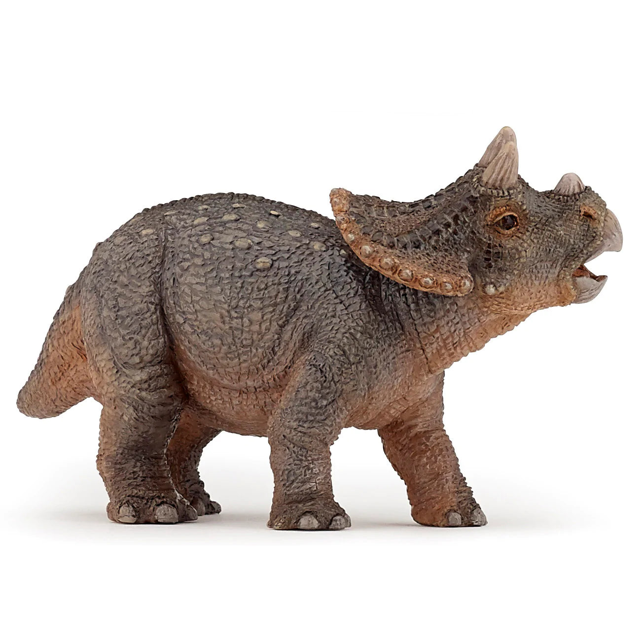 Figurine - Young Triceratops