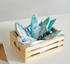 Fresh Fish Crate
