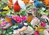 Garden Birds 500PC Puzzle