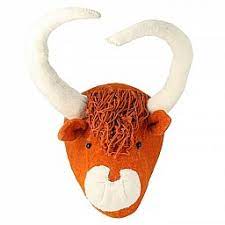 Highland Cattle Head, Original