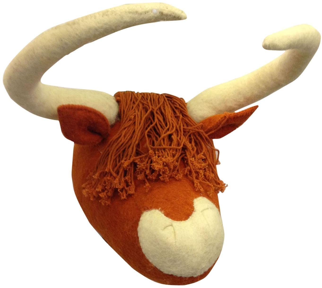 Highland Cattle Head, Original