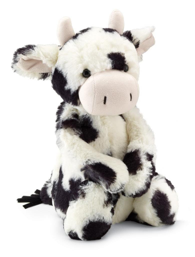 Bashful Calf, Medium
