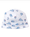 Rickety Railroad Hat
