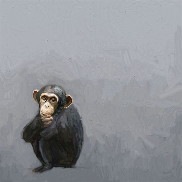 Little Chimpanzee, Stretched Canvas Wall Art 10x10