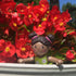 Little Friends Naomi African American Girl Doll