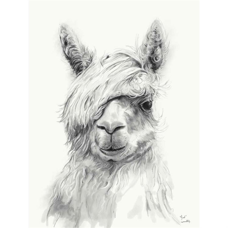 Llama Draw You A Portrait - Joel, Stretched Canvas Wall Art 10x14