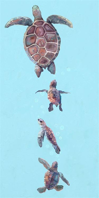 Momma And Baby Turtles, Stretched Canvas Wall Art 12x24