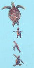 Momma And Baby Turtles, Stretched Canvas Wall Art 12x24