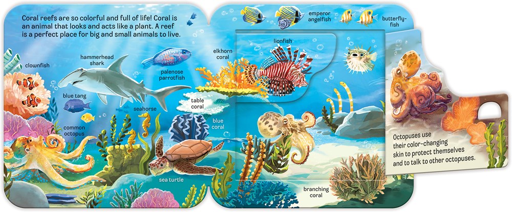 Ocean Peek-A-Flap Book