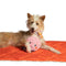 Ocho Pet Toy
