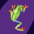Paint by Sticker Kids: Zoo Animals