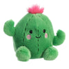 Prickles Cactus