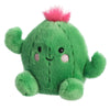 Prickles Cactus