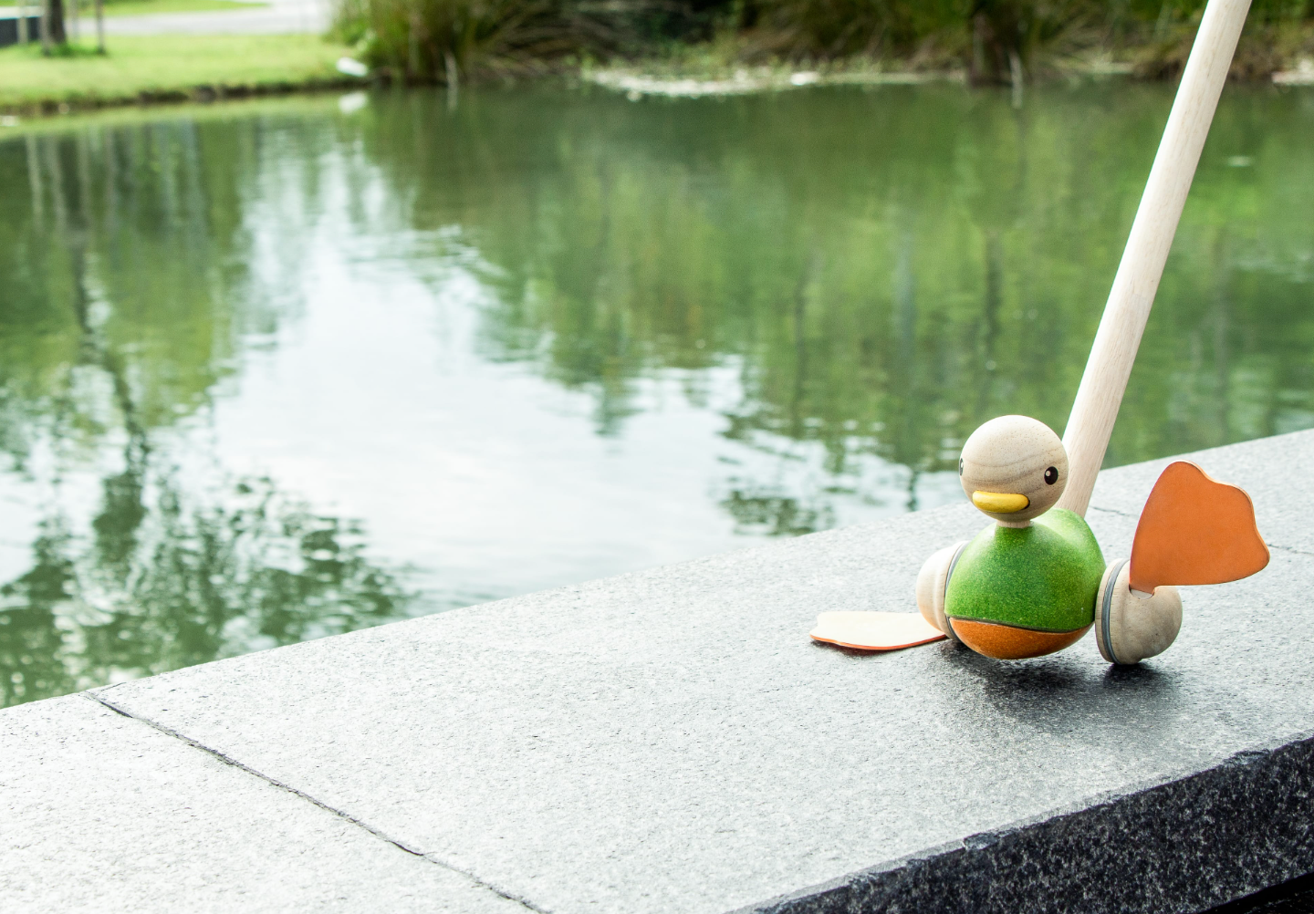 Push Along Duck