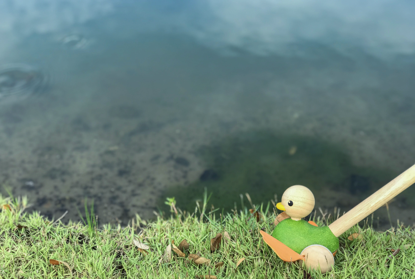 Push Along Duck