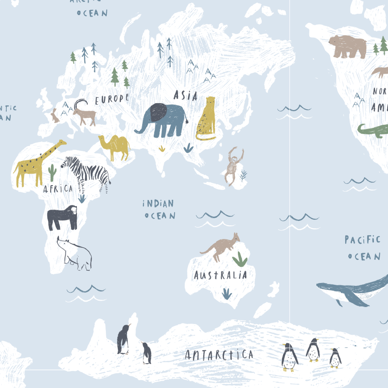 Sea The World Modal Magnetic Footie