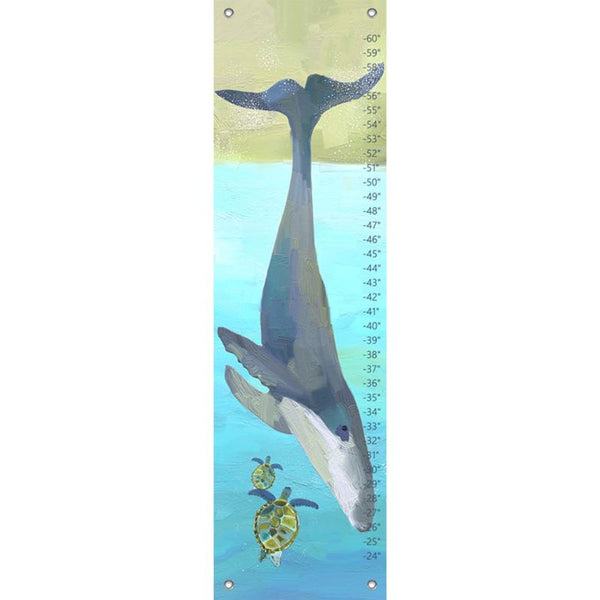 Sea Turtles & Whale Splash, Growth Chart