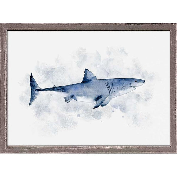 Shark Portrait, Mini Framed Canvas