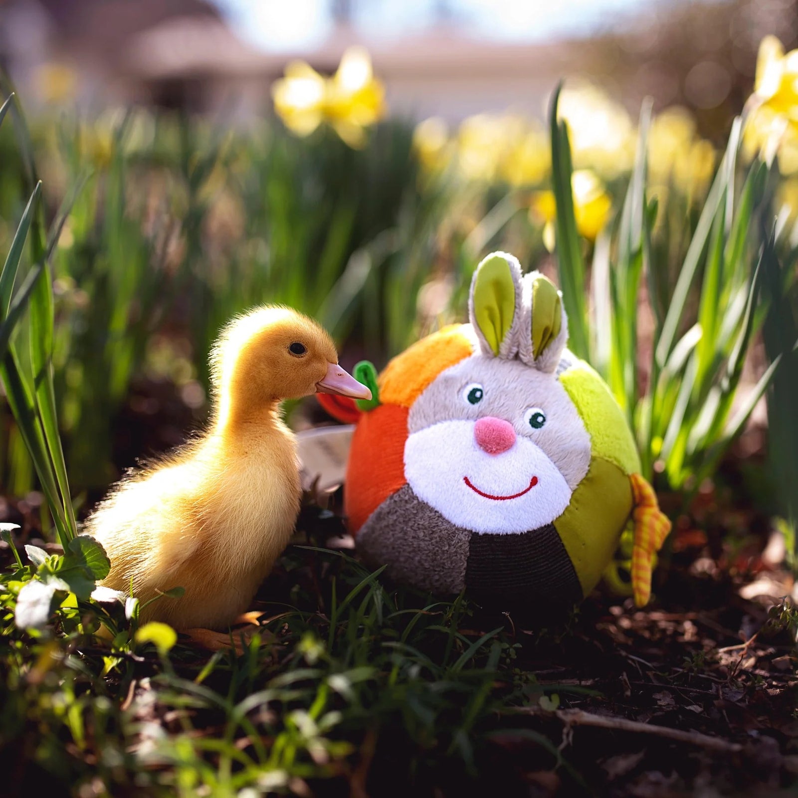 Haba Soft Bunny Ball with Rattling Effects