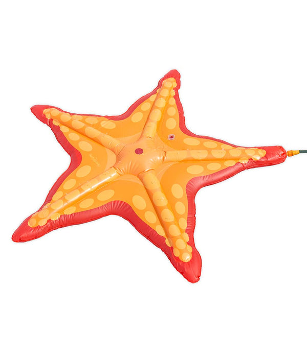 Starfish Sprinkler Splash Pad