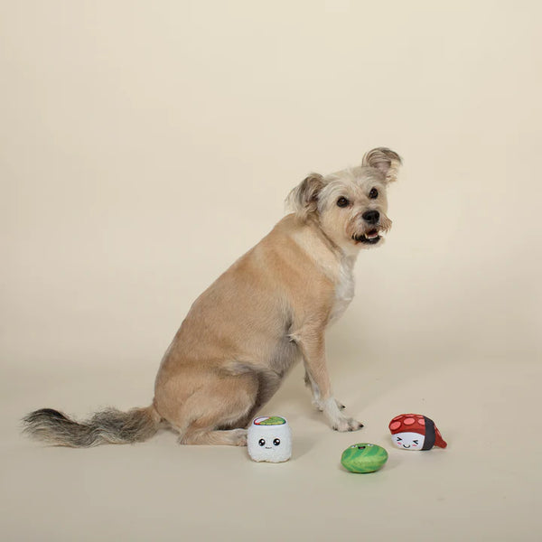 Sushiholic Dog Toys Set