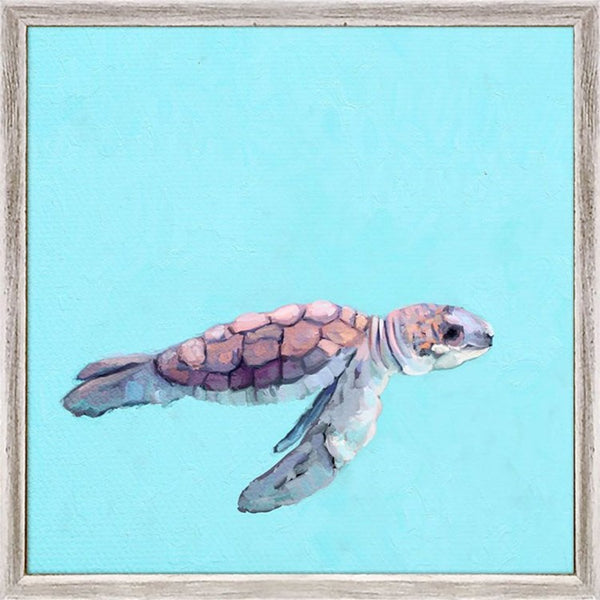Swimming Baby Turtle 2, Mini Framed Canvas