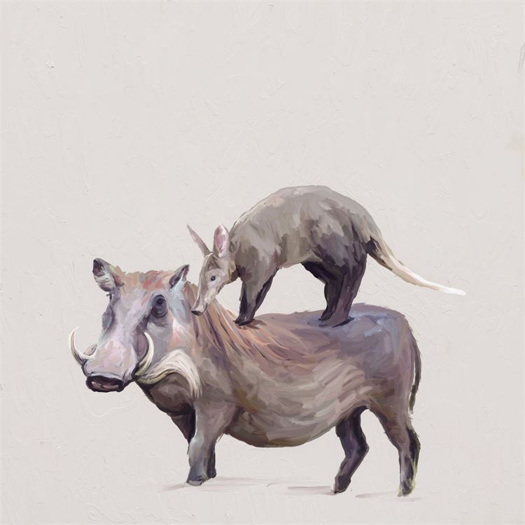 Warthog & Anteater, Stretched Canvas Wall Art 10x10