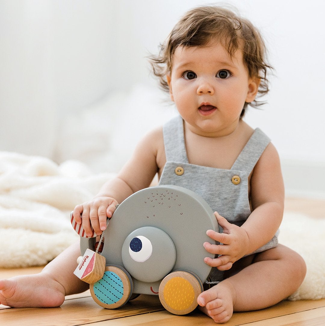 Bababoo and friends Whale Wilma Pull Along Toy